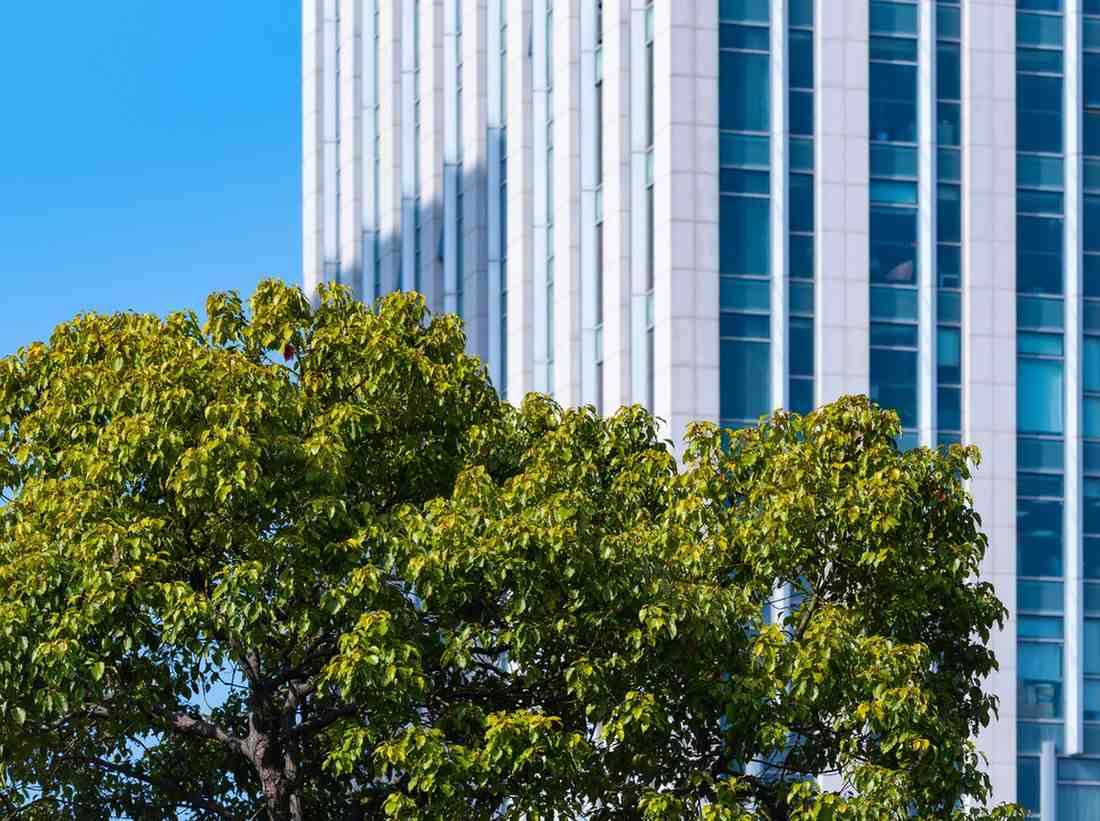 Liaison Office Registration in Bangladesh
